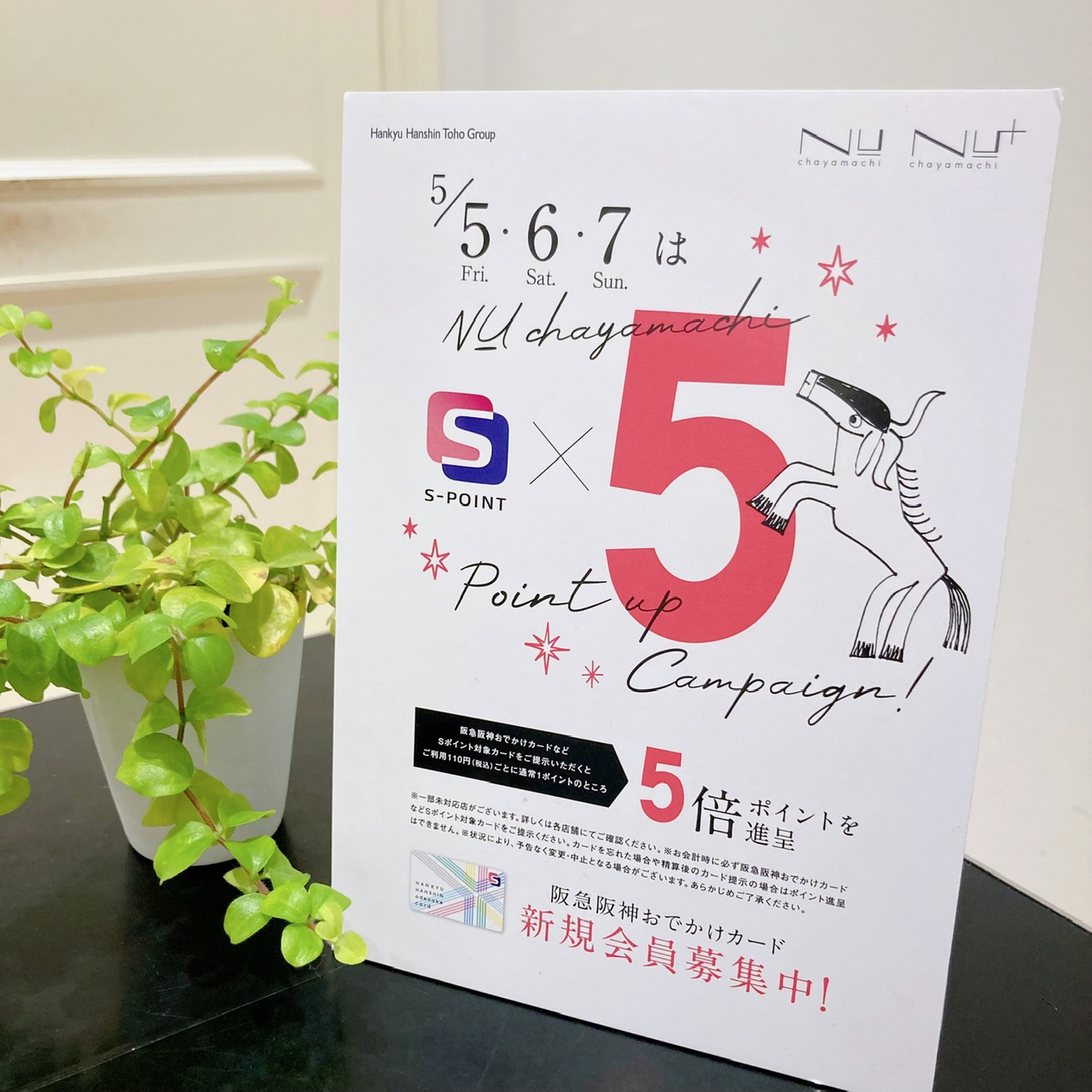 【NU茶屋町店】Sポイント5倍キャンペーンのお知らせ＆新作のご紹介