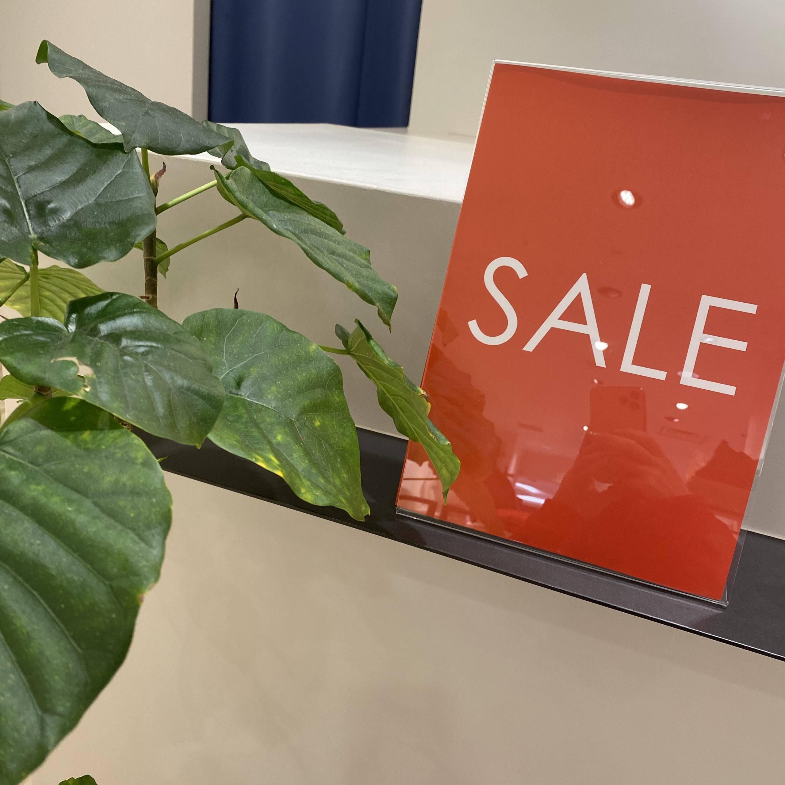 【なんばパークス店】初売りセールのお知らせ