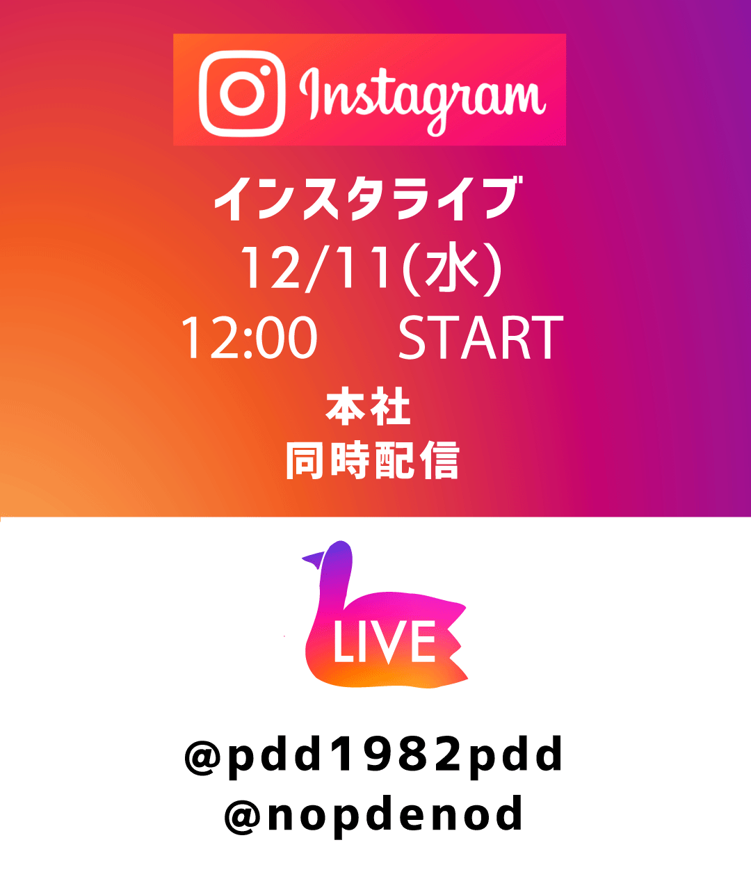 POU DOU DOU 2/20（木）インスタLIVEご紹介アイテム
